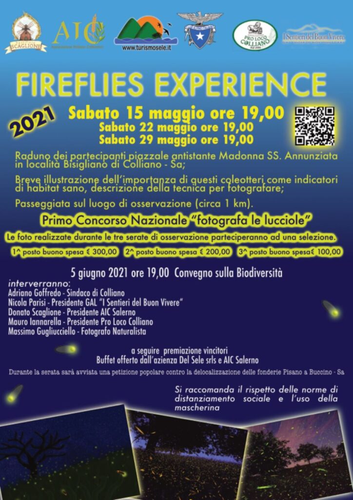 Fireflies Experience nell'Alta Valle del Sele- 15, 22, 29 Maggio 2021