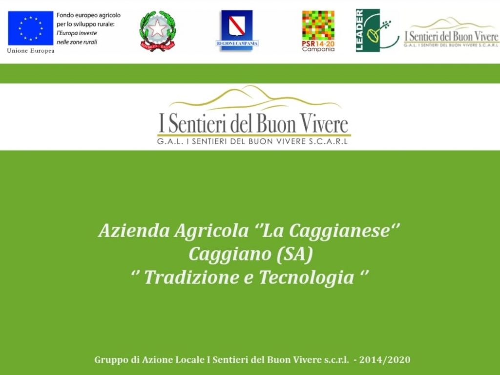 Tradizione e Innovazione: Azienda Agricola La Caggianese.