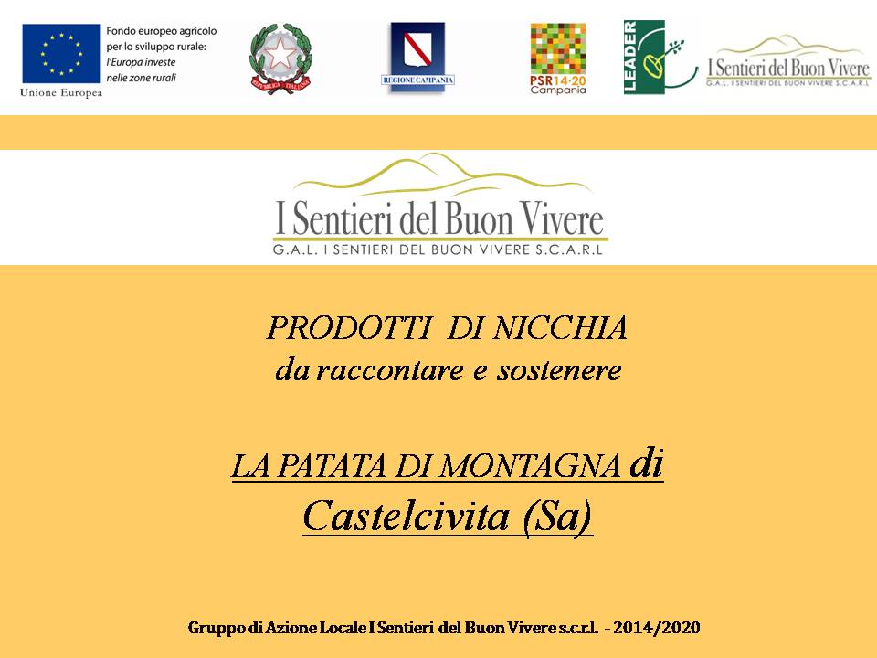 Castelcivita: storia, natura, gastronomia.