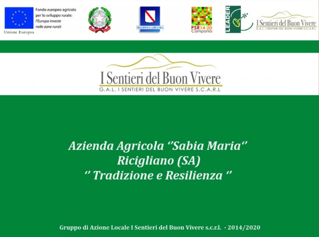 Tradizioni e resilienza: l'azienda agricola Sabia Maria